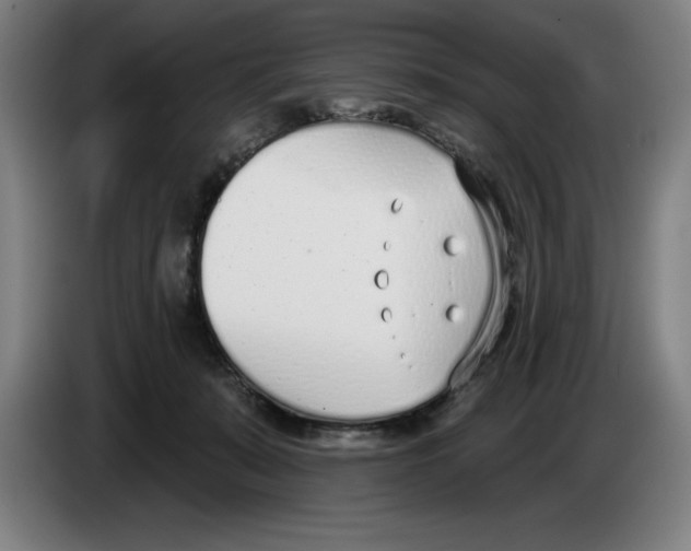 X0000083530319200703091517