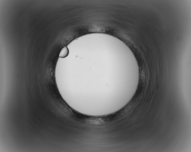 X0000083530322200703091517