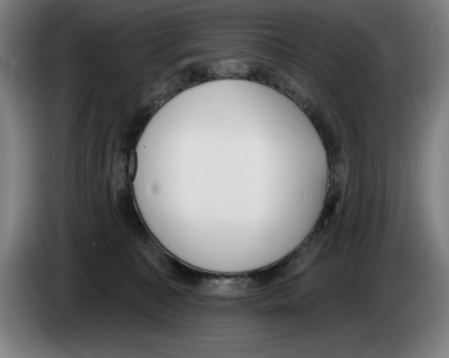 X0000083530323200703091517