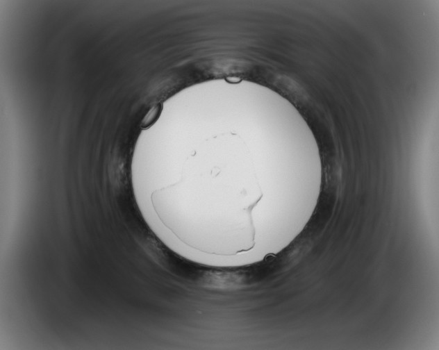 X0000083530327200703091517