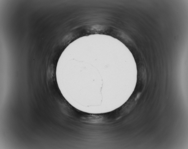 X0000083530328200703091517