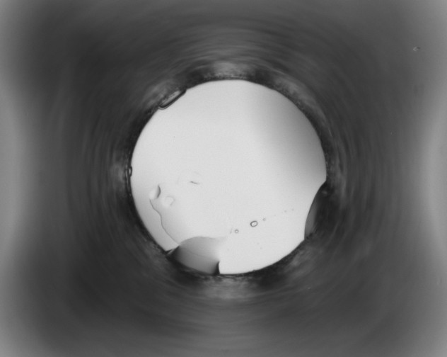 X0000083530329200703091517