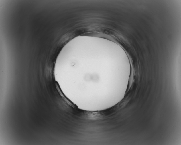 X0000083530333200703091517