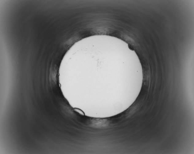 X0000083530334200703091517