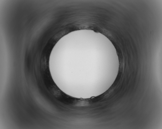 X0000083530335200703091517