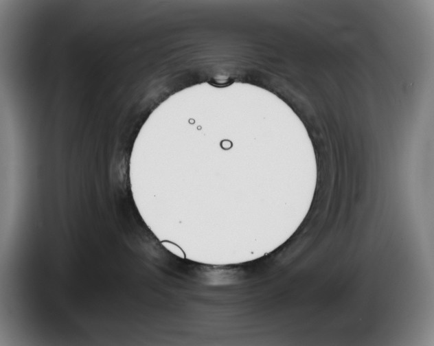 X0000083530336200703091517