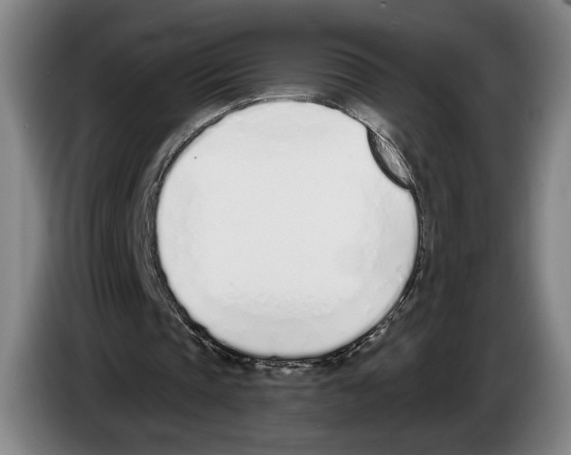 X0000083530337200703091516