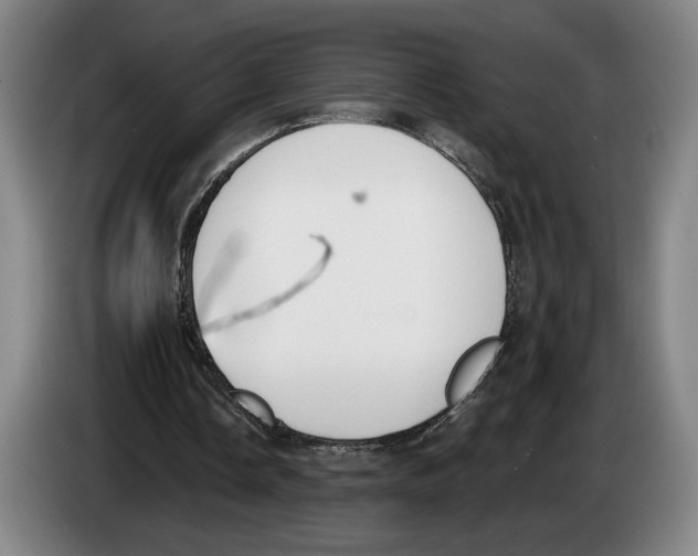 X0000083530338200703091516