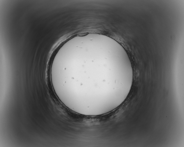 X0000083530340200703091516