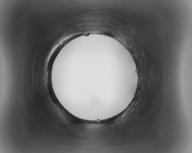 X0000083530342200703091516