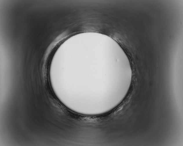 X0000083530343200703091516