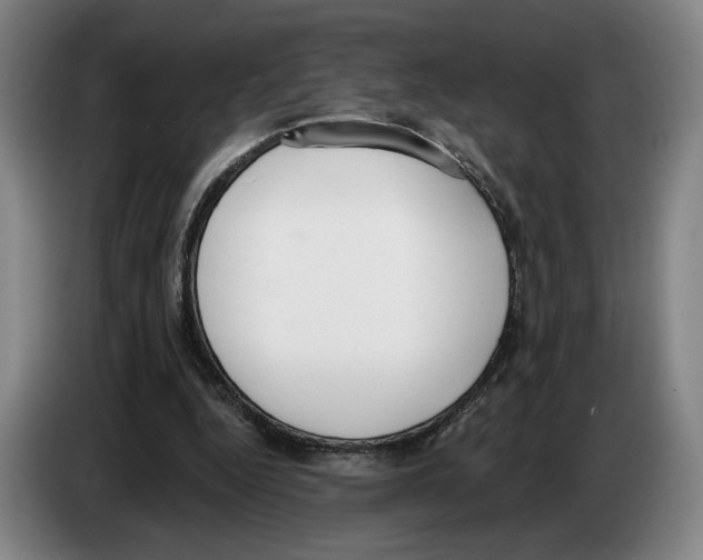 X0000083530344200703091516