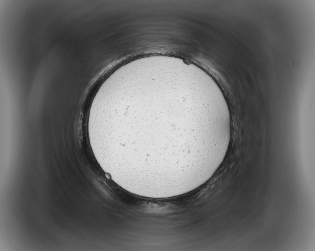 X0000083530346200703091516