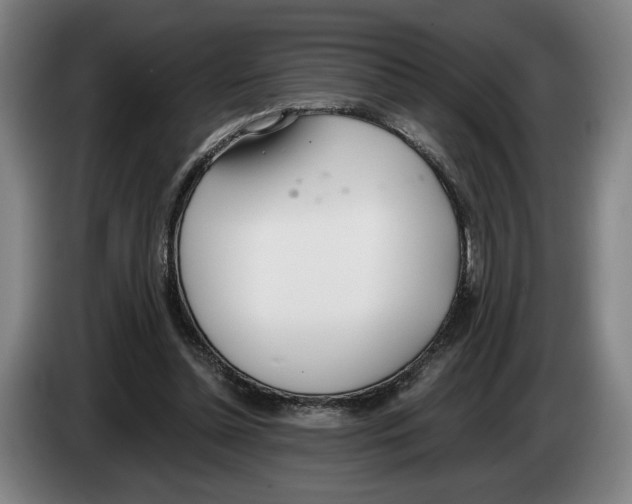 X0000083530348200703091516