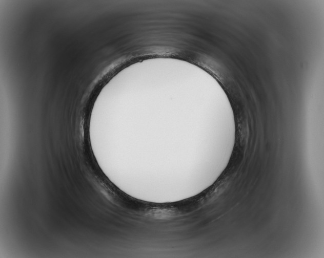 X0000083530350200703091517