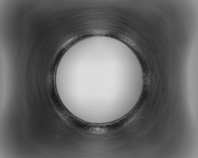 X0000083530352200703091517