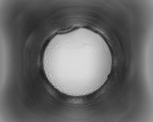 X0000083530353200703091517