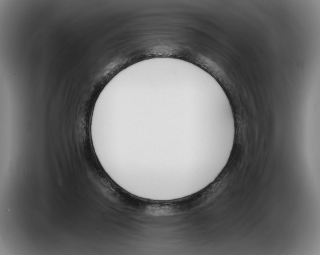 X0000083530354200703091517