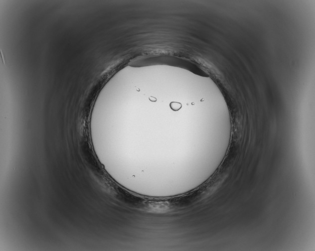 X0000083530355200703091517