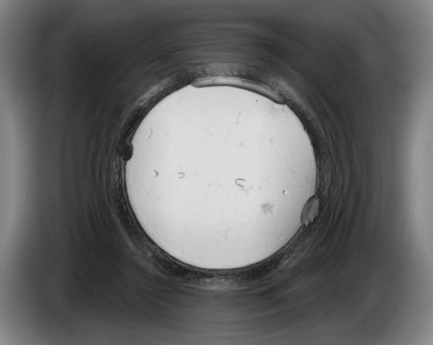 X0000083530356200703091517