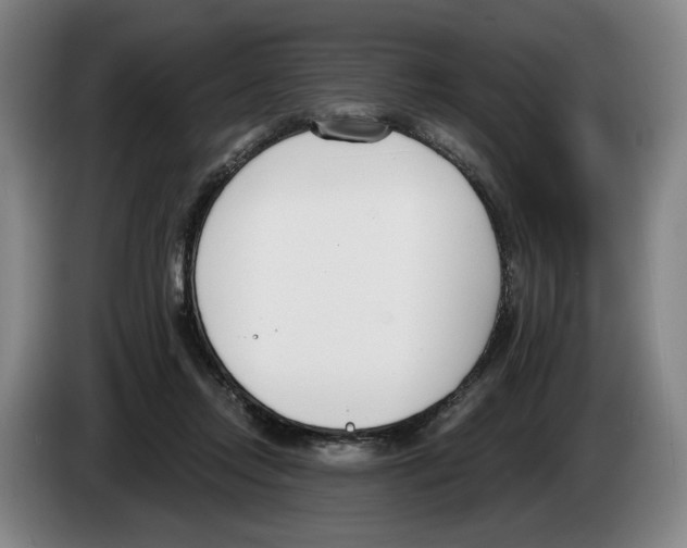 X0000083530358200703091517