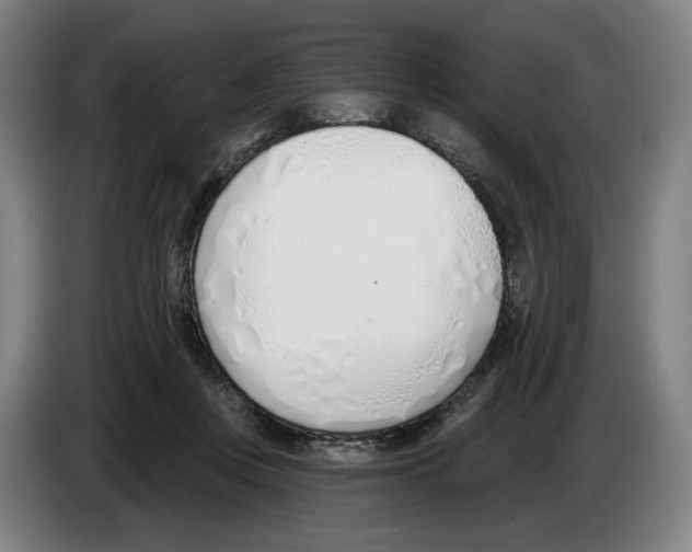 X0000083530359200703091517