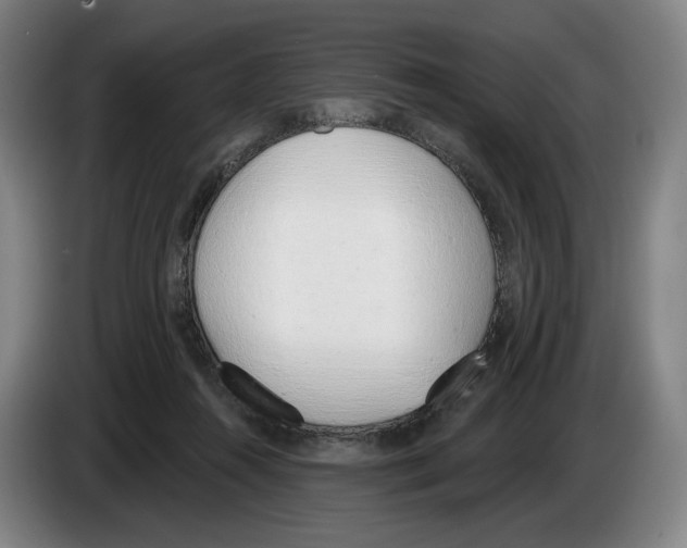 X0000083530360200703091517