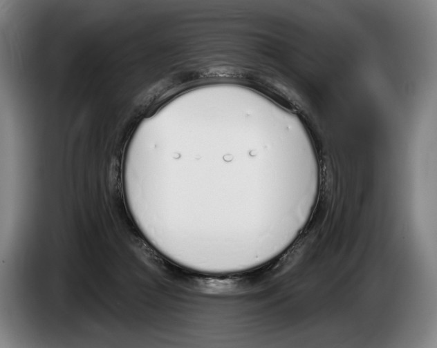 X0000083530361200703091517