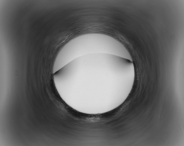 X0000083530362200703091517