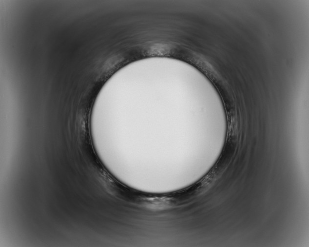 X0000083530363200703091517