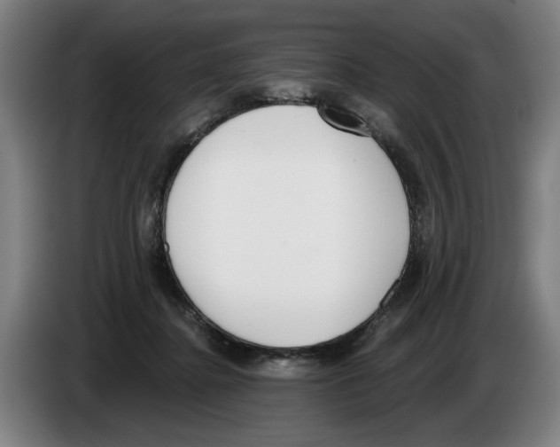 X0000083530364200703091517