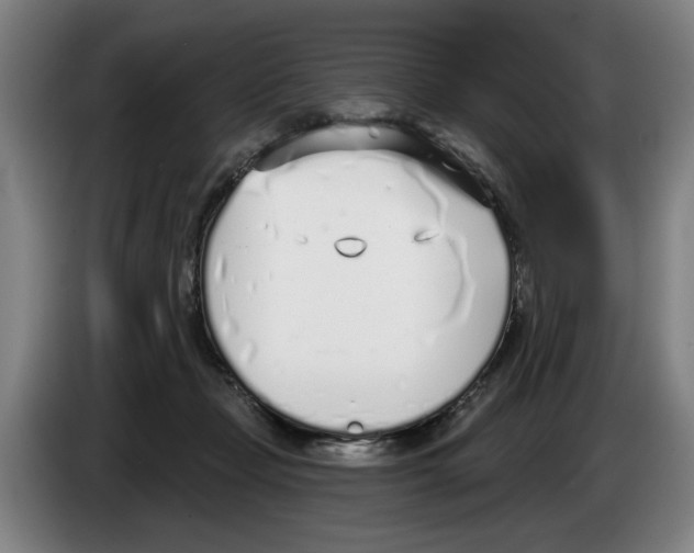 X0000083530365200703091517