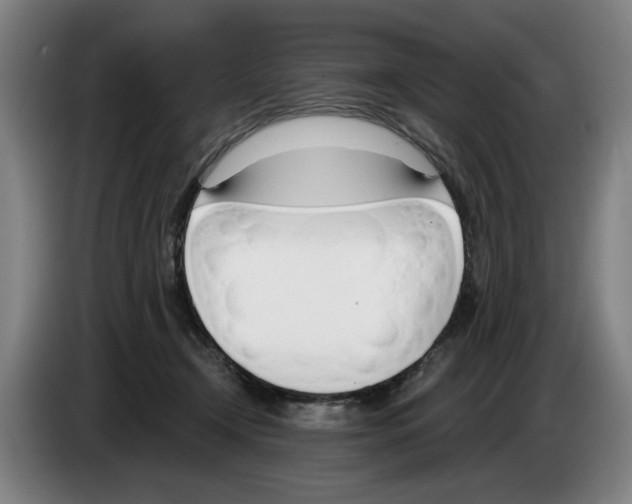 X0000083530366200703091517