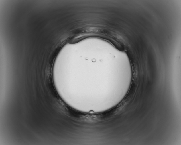 X0000083530367200703091517