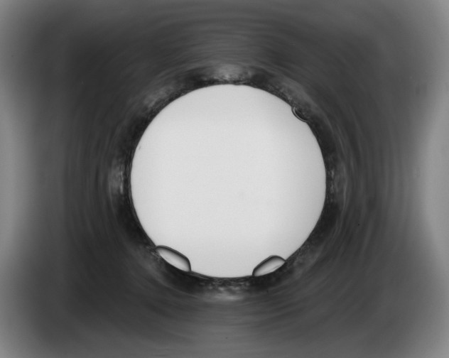 X0000083530368200703091517