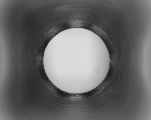 X0000083530369200703091517