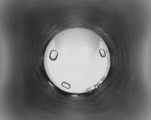 X0000083530370200703091517