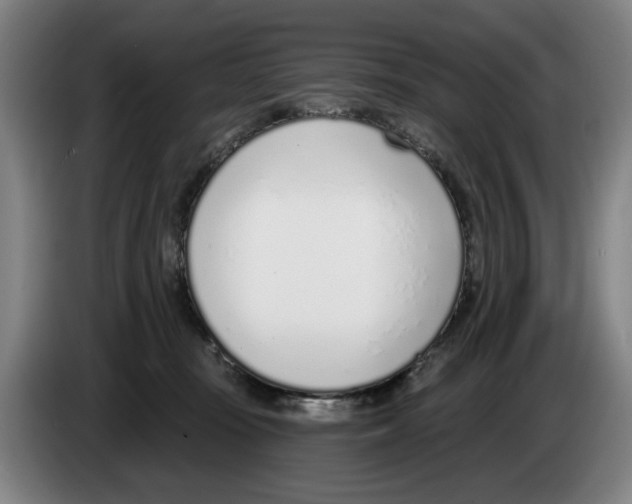 X0000083530371200703091517