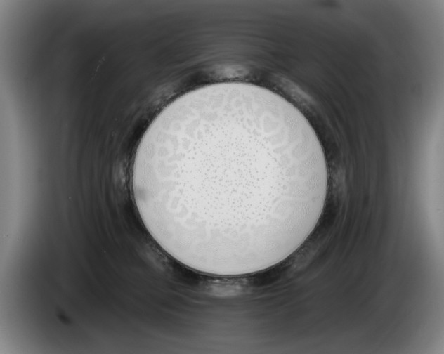 X0000083530373200703091517