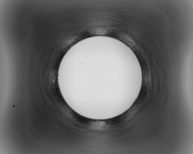 X0000083530374200703091517