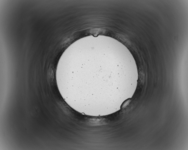 X0000083530375200703091517