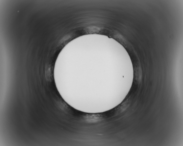 X0000083530378200703091517