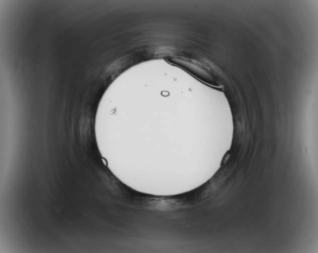 X0000083530379200703091517