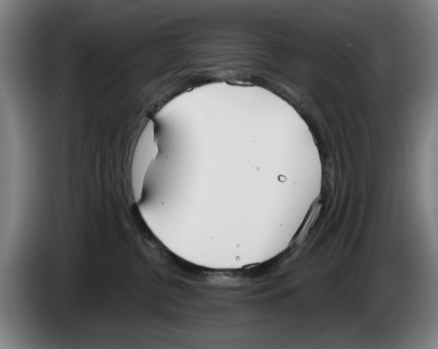 X0000083530380200703091517