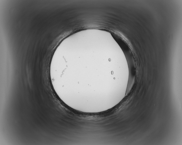 X0000083530385200703091516