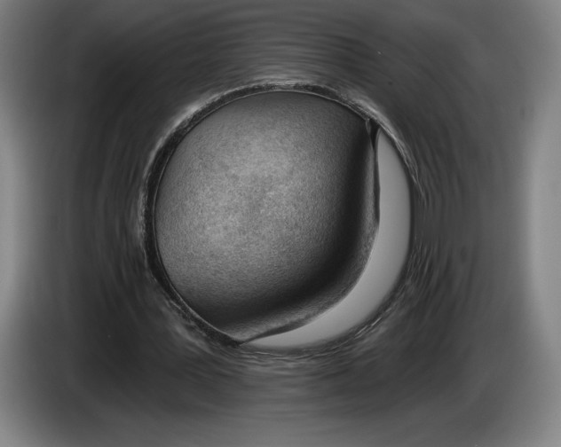 X0000083530387200703091516