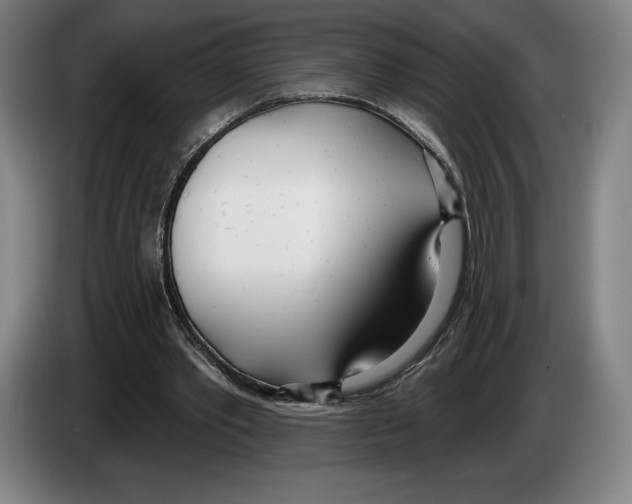 X0000083530389200703091516