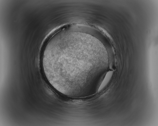 X0000083530391200703091516