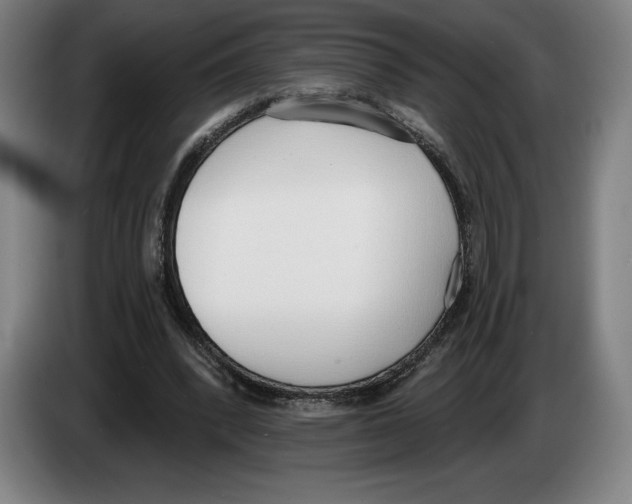 X0000083530392200703091516