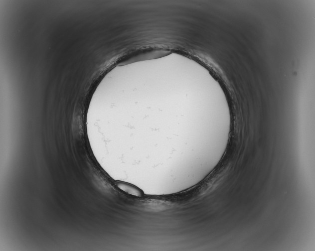 X0000083530393200703091516